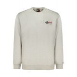 TOMMY HILFIGER Ανδρική Γκρι Φούτερ μπλούζα  DM0DM23116