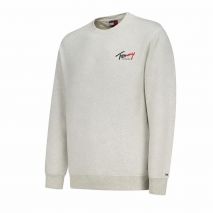 TOMMY HILFIGER Ανδρική Γκρι Φούτερ μπλούζα  DM0DM23116