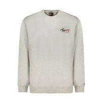 TOMMY HILFIGER Ανδρική Γκρι Φούτερ μπλούζα  DM0DM23116